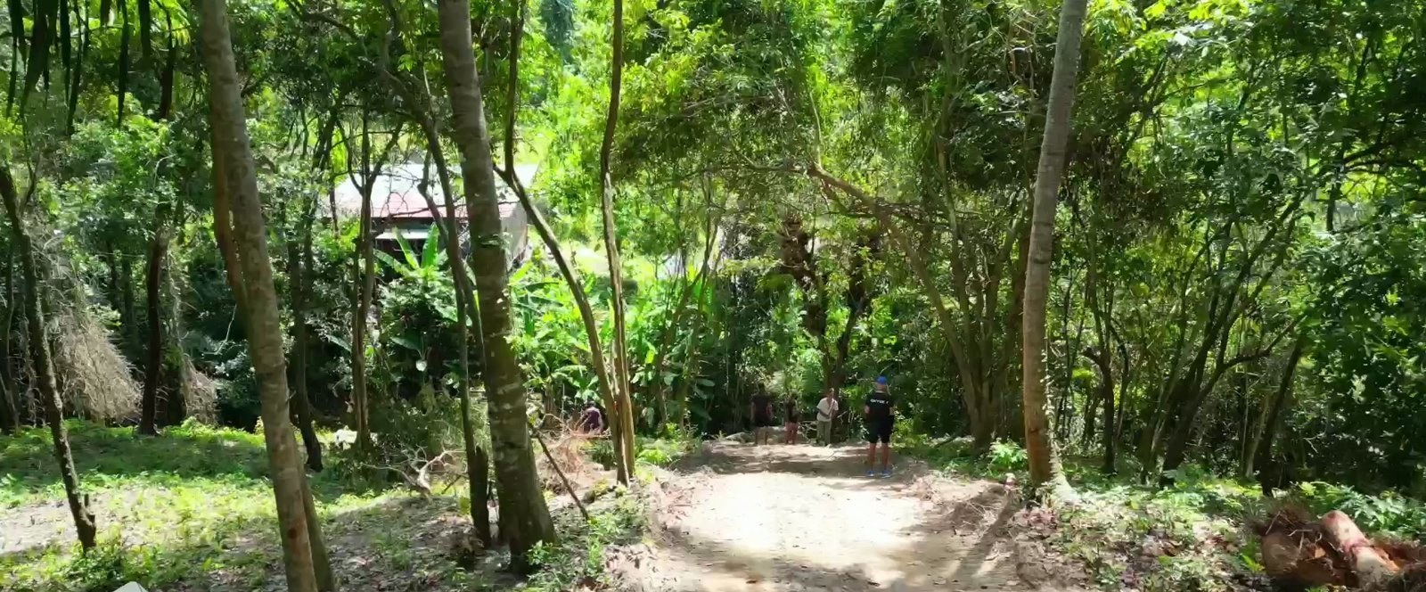 Magnificent plot of land with waterfalls, suitable for a nightclub or resort (RW-0502) — photo 3