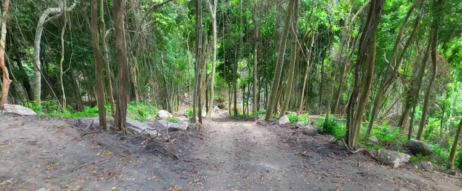 Magnificent plot of land with waterfalls, suitable for a nightclub or resort (RW-0502) — photo 4