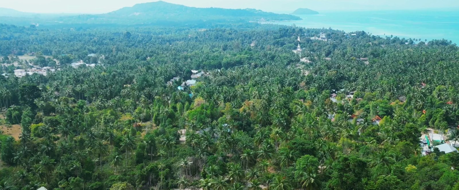 The plot is ideal for your dream home (RW-0509) — photo 2