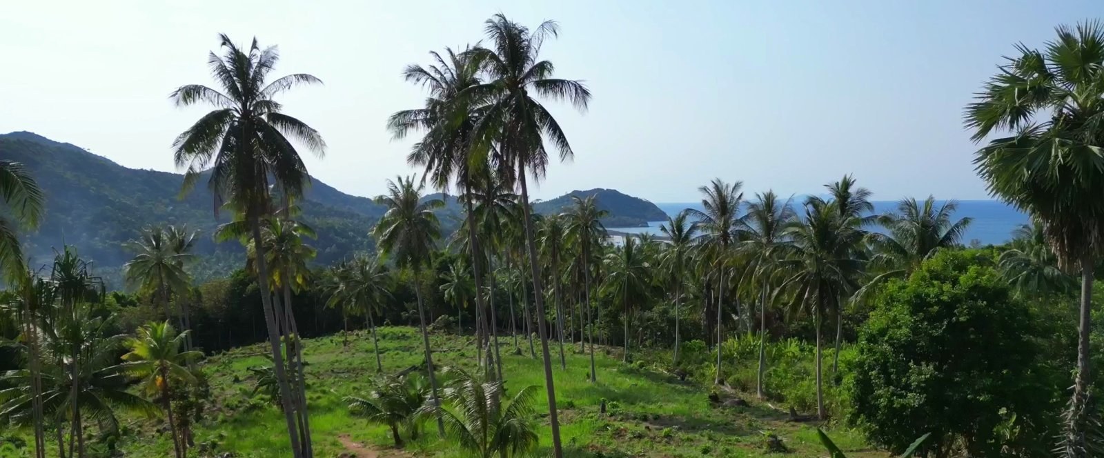 A beautiful plot of land near the Chaloklum viewpoint (RW-0512) — photo 1