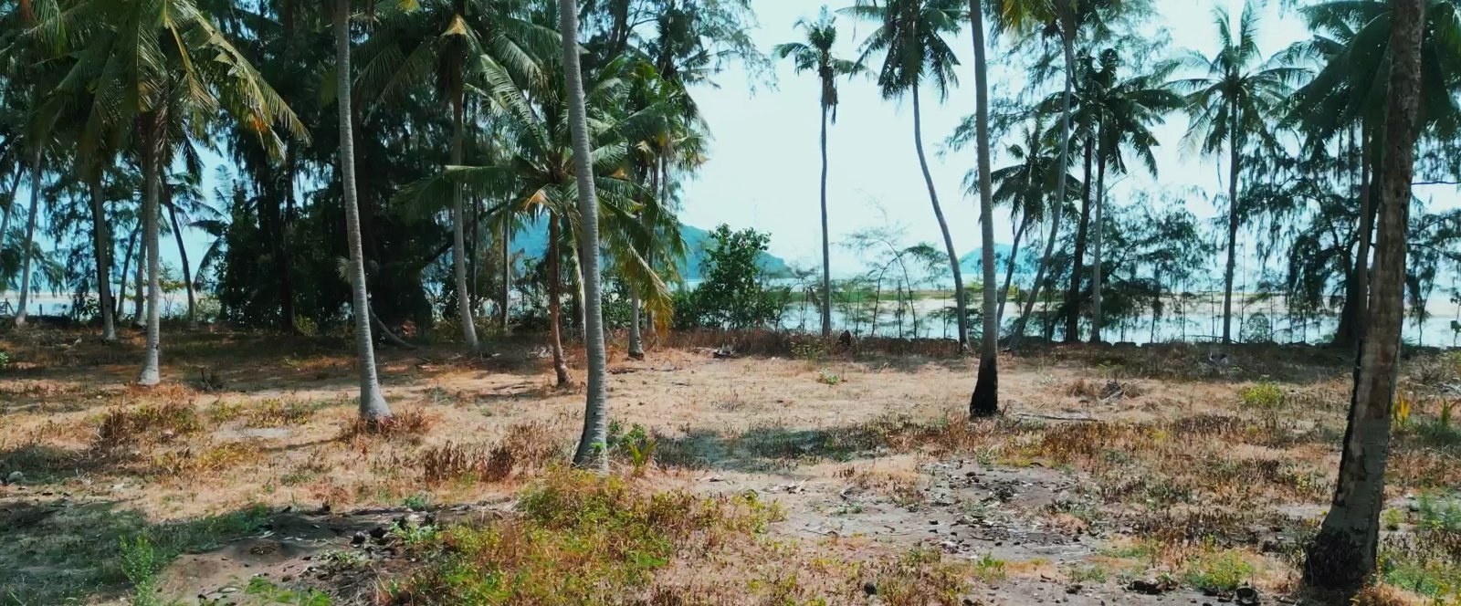 An incredible piece of coastal land in the most densely populated area (RW-0513) — photo 3