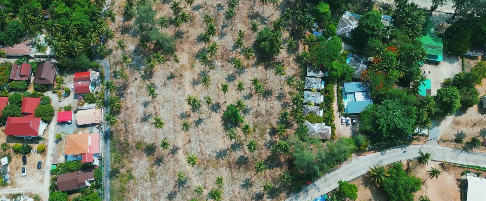 An incredible piece of coastal land in the most densely populated area (RW-0513) — photo 4