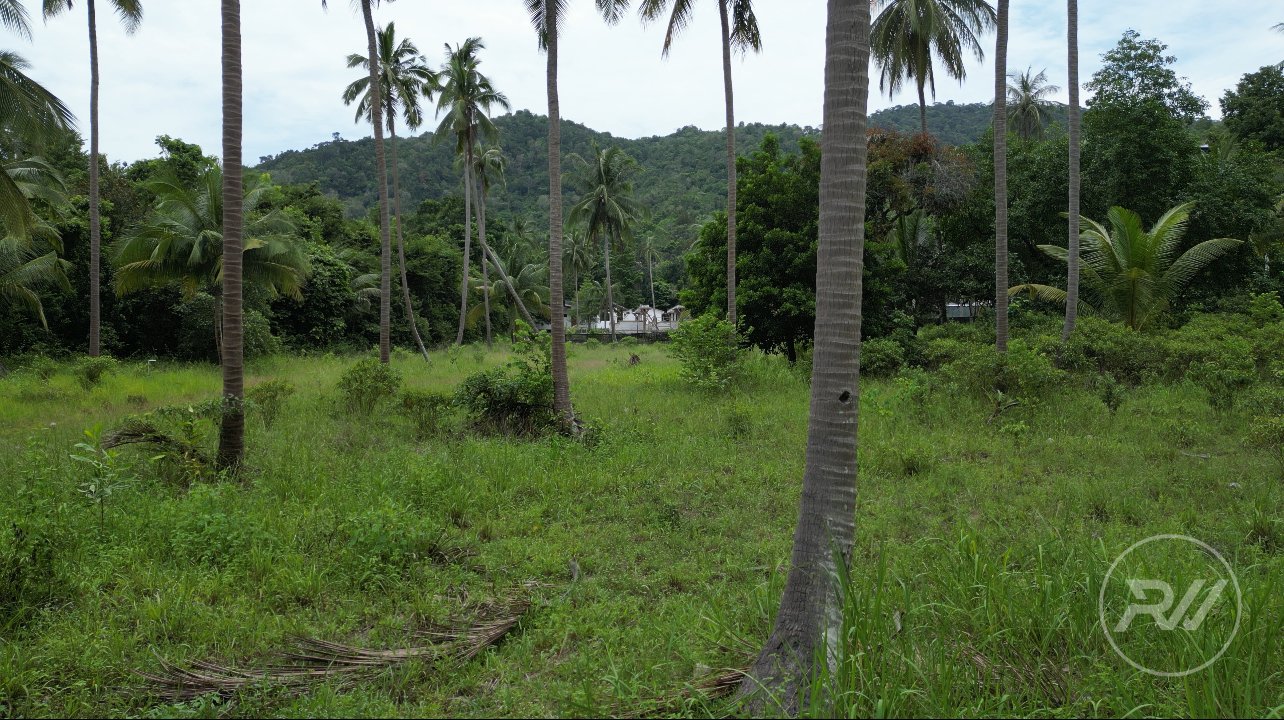 Easy-to-build plot of land in a quiet neighbourhood (RW-0515) — photo 2