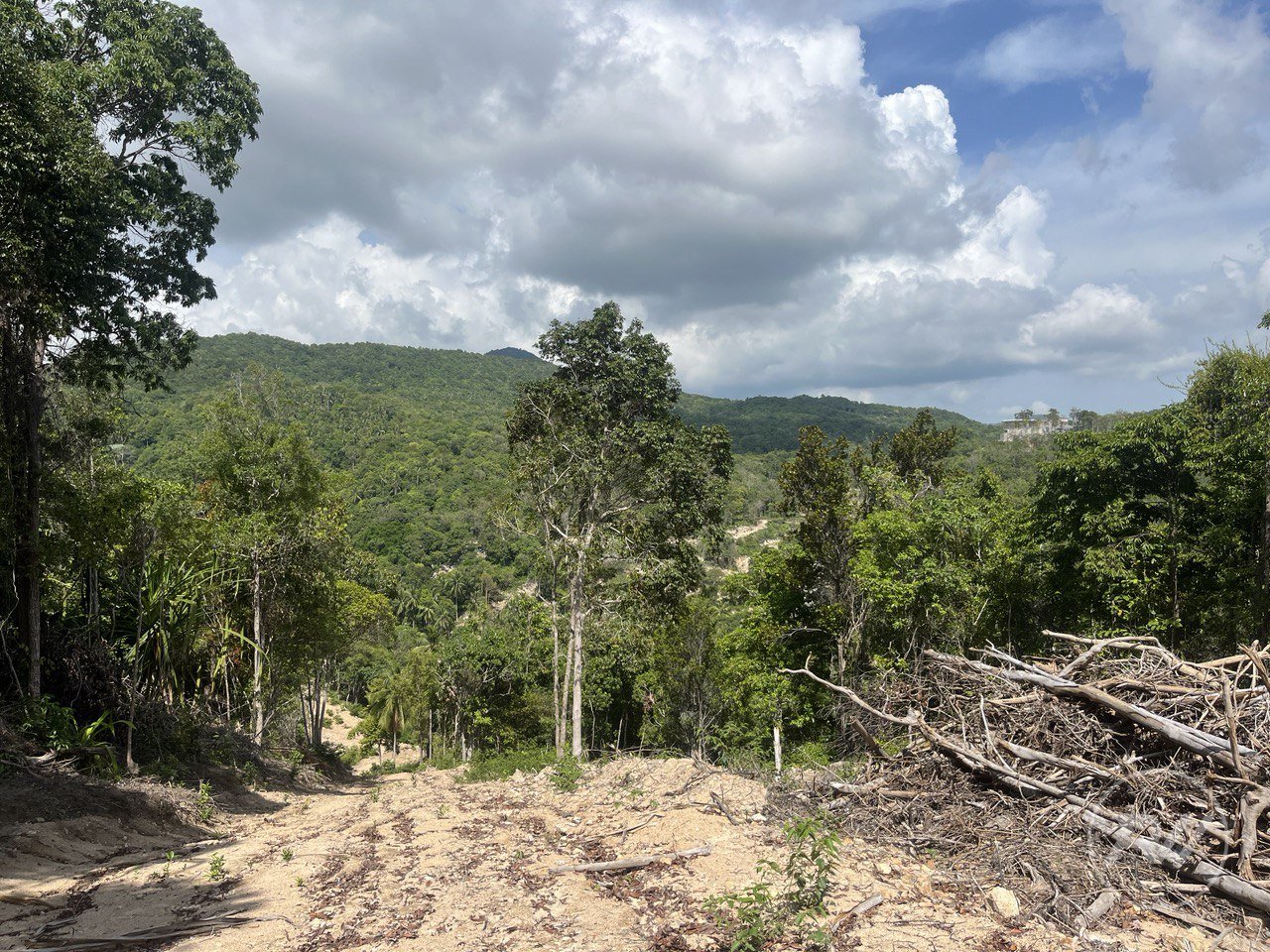 A very attractive plot of land with great commercial potential (RW-0520) — photo 1