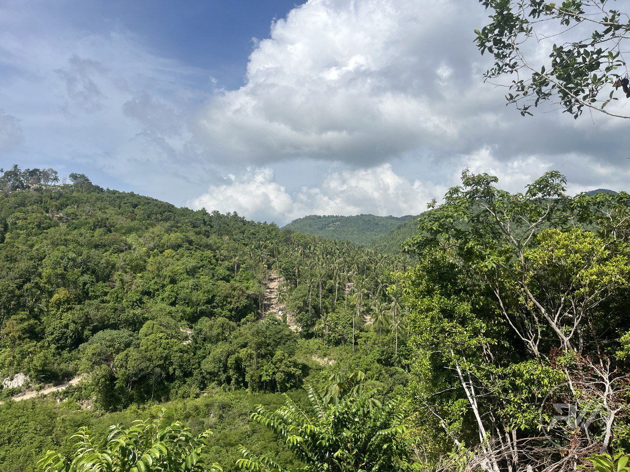 A very attractive plot of land with great commercial potential (RW-0520) — photo 2