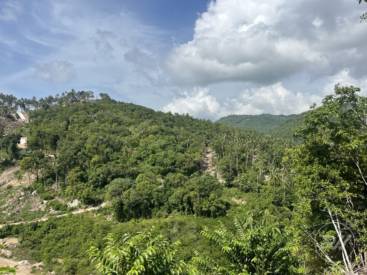A very attractive plot of land with great commercial potential (RW-0520) — photo 3