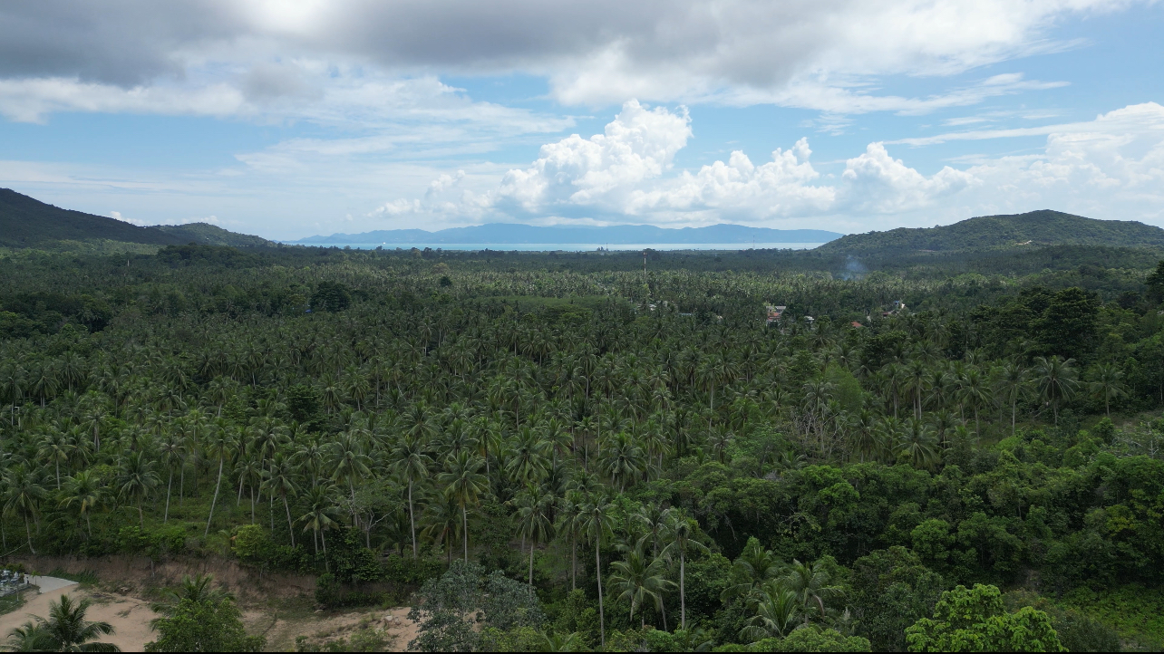 View land plots in the centre of the island (RW-0524) — photo 1