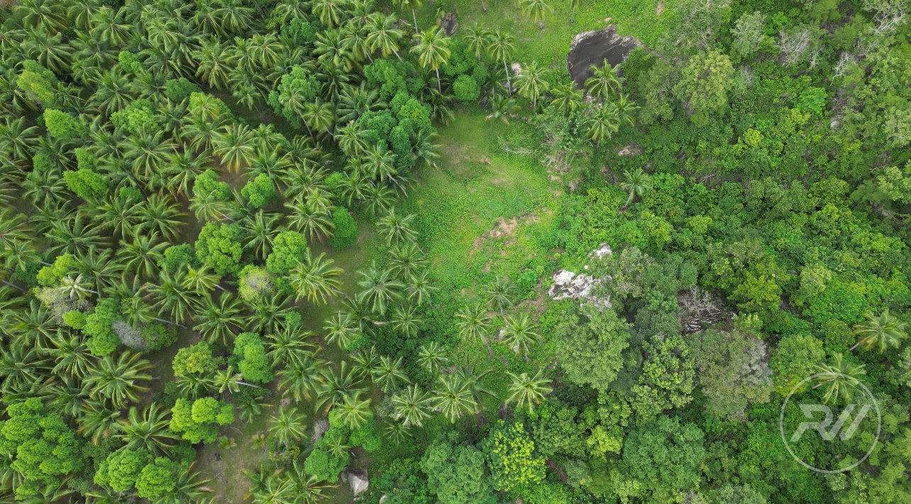 A beautiful plot of land in a quiet location (RW-0528) — photo 1