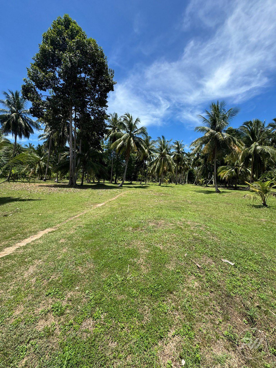 Land For Sale Ban Tai (RW-0579) — photo 1