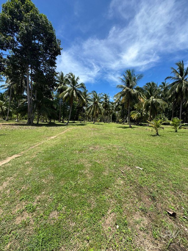 Land For Sale Ban Tai (RW-0579) — photo 4