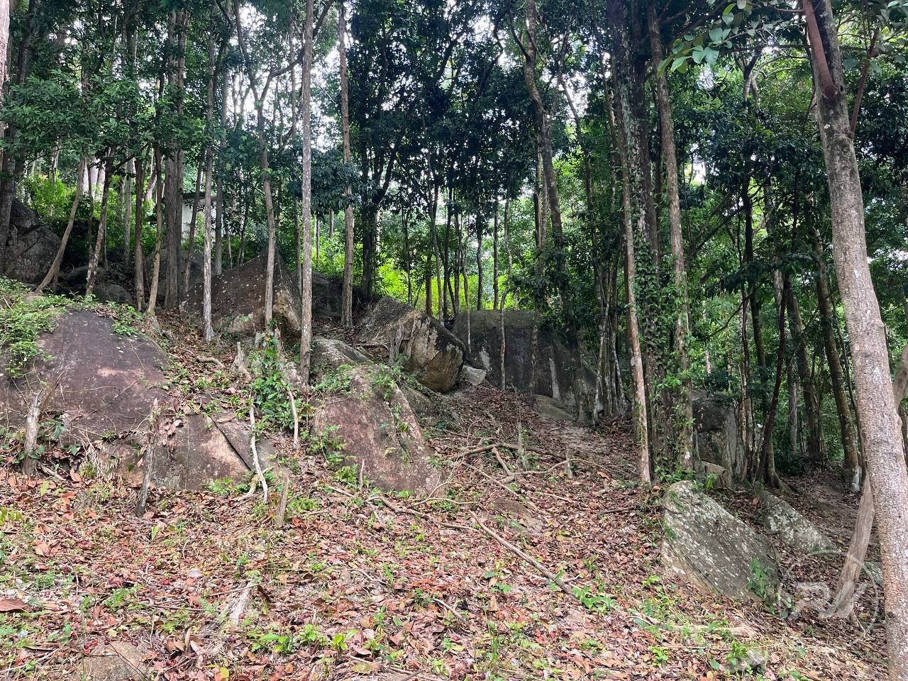 Small Sea-View Plot in the Heart of the Island (RW-0583) — photo 1