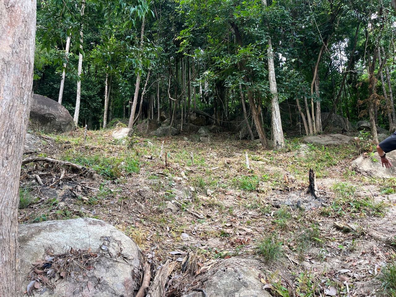 Small Sea-View Plot in the Heart of the Island (RW-0583) — photo 3
