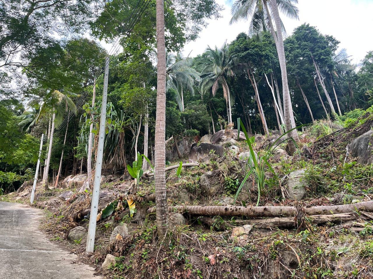 Small Sea-View Plot in the Heart of the Island (RW-0583) — photo 4