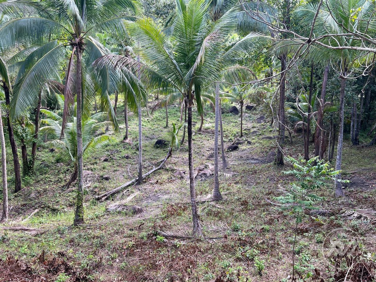 Chaloklum Plot for Sale – Prime Location (RW-0592) — photo 1