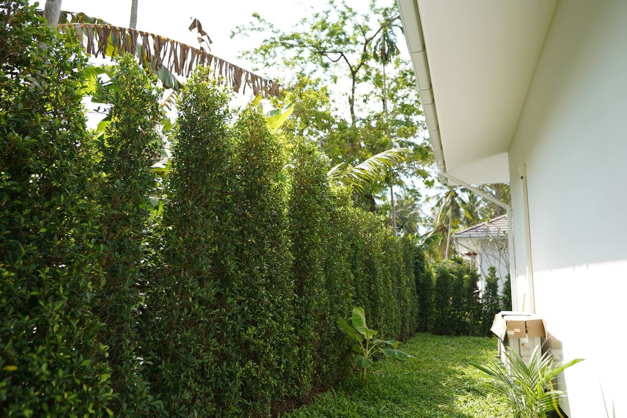 Villa Baan Dao Madeau Wan (RW-0628) — photo 1