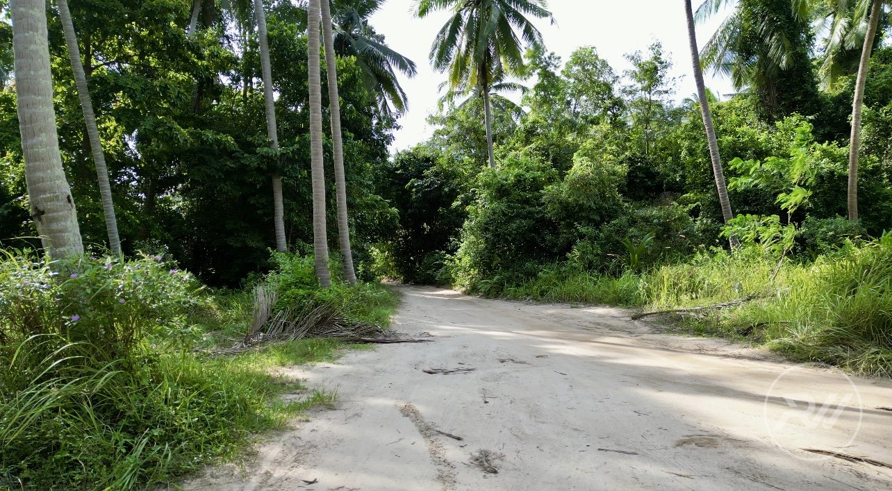 Coconut Lane 10 rai (RW-0629) — photo 1