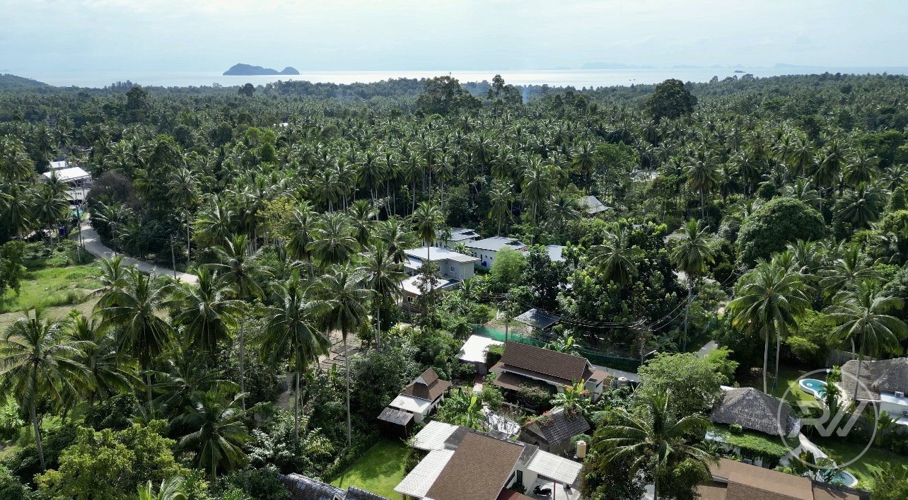 Coconut Lane 10 rai (RW-0629) — photo 2