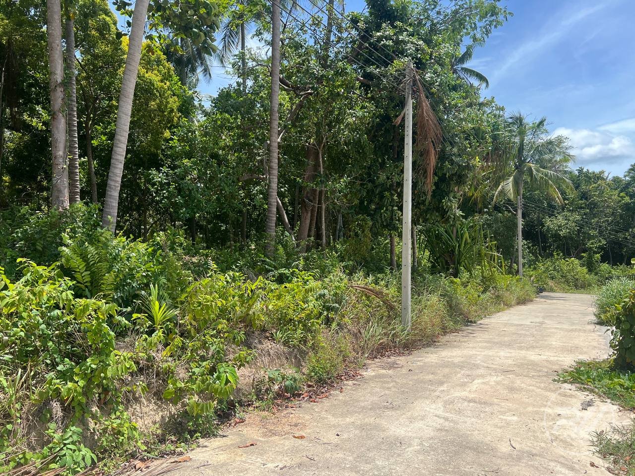 Land Sale/Lease Sri Thanu (RW-0632) — photo 1
