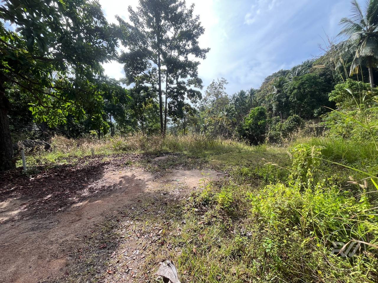 Small plot of Land in Ban Tai (RW-0633) — photo 1