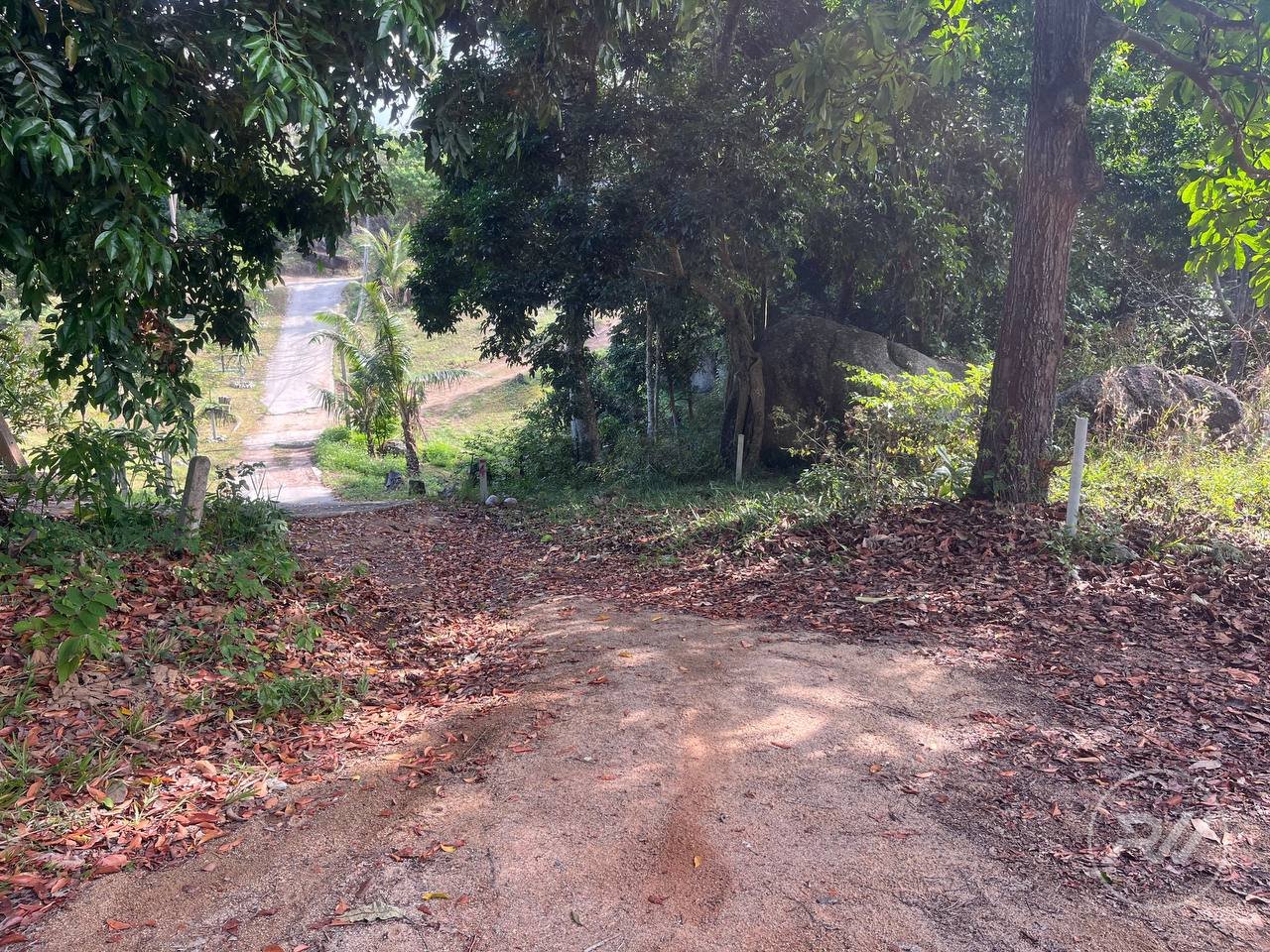 Small plot of Land in Ban Tai (RW-0633) — photo 3