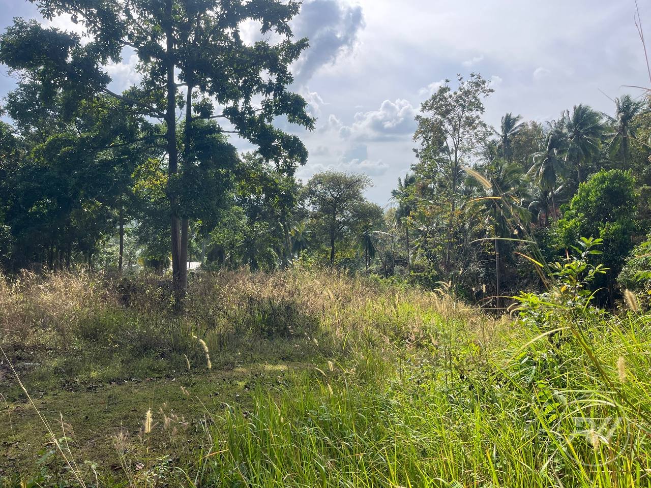 Small plot of Land in Ban Tai (RW-0633) — photo 4