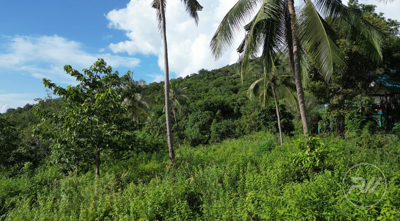 Land plot in Srithanu (RW-L0005) — photo 2