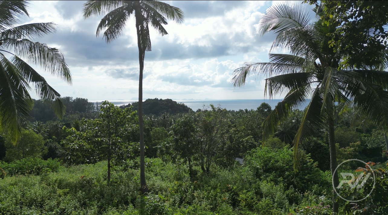 Land plot in Srithanu (RW-L0005) — photo 3