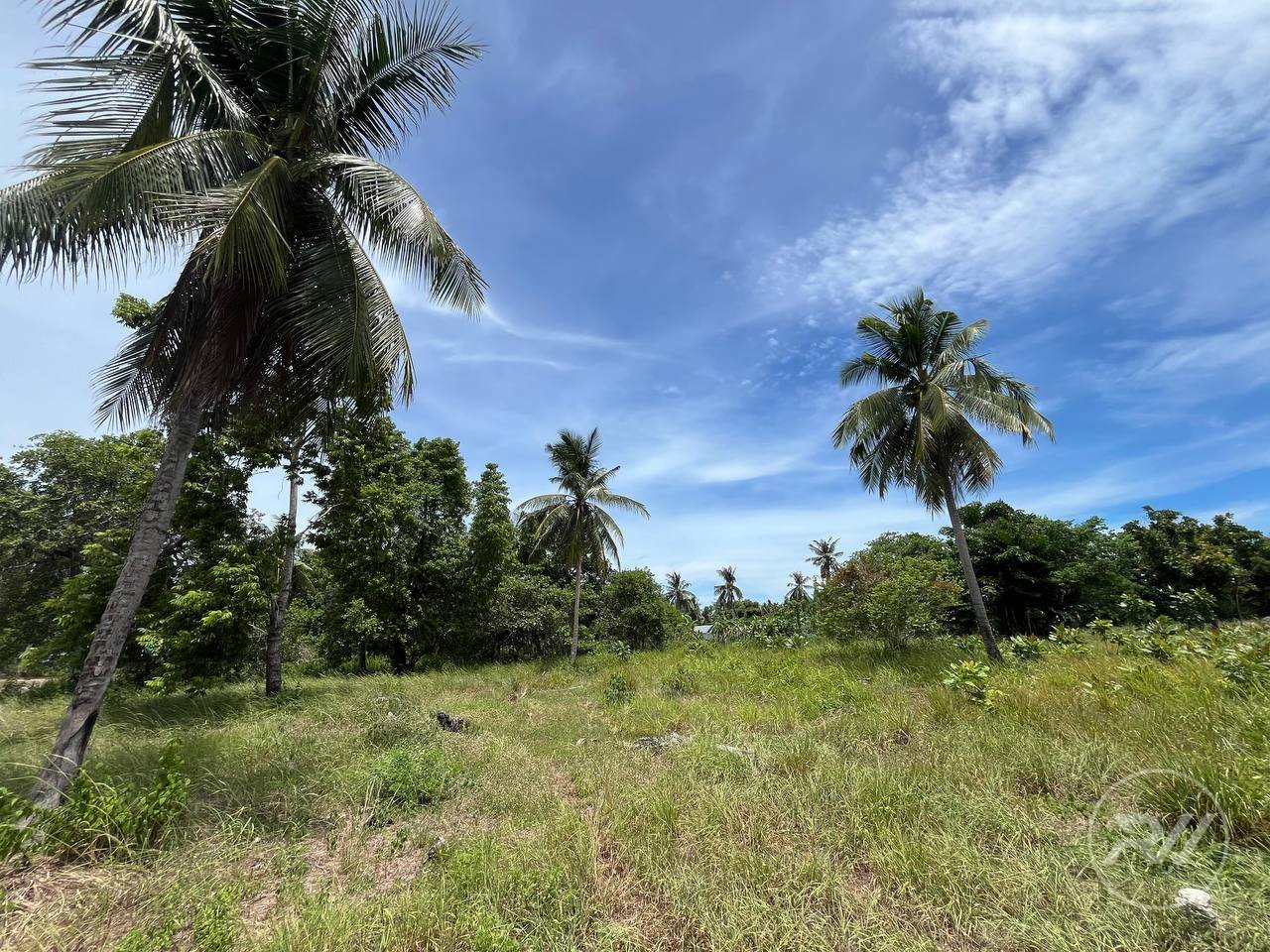 Land plot in Hin Kong (RW-L0010) — photo 3