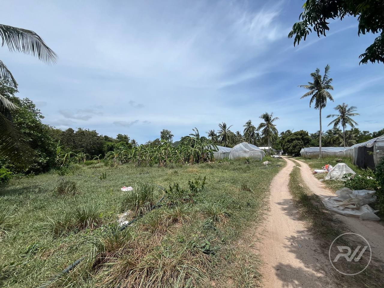 Land plot in Hin Kong (RW-L0010) — photo 4