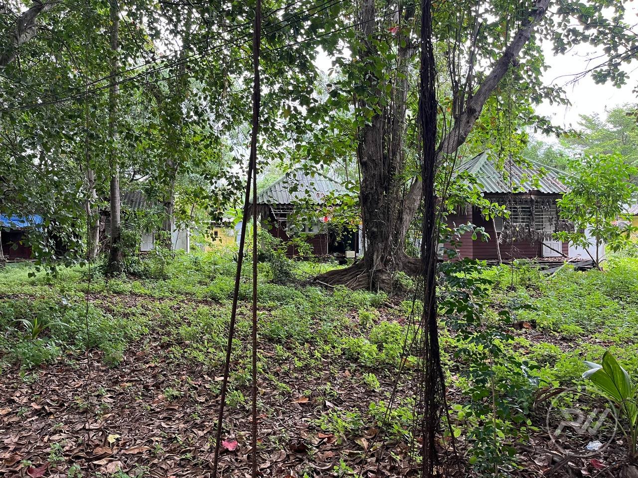 Land plot on Koh Phangan (RW-L0012) — photo 1