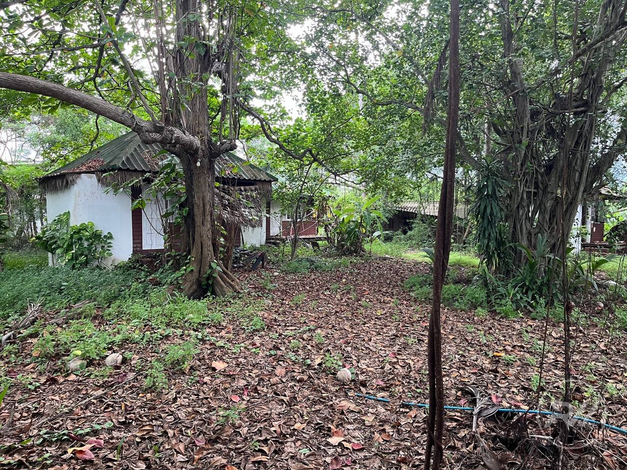 Land plot on Koh Phangan (RW-L0012) — photo 2