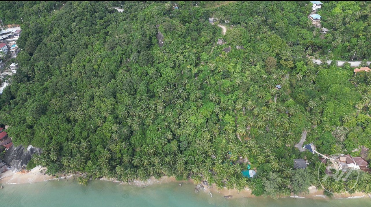 Land plot on Koh Phangan (RW-L0015) — photo 1