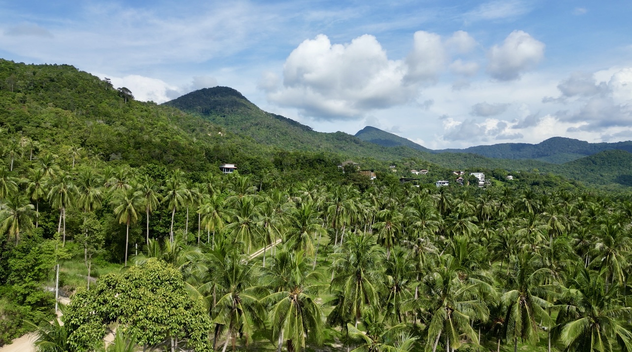 Land plot in Srithanu (RW-L0016) — photo 1