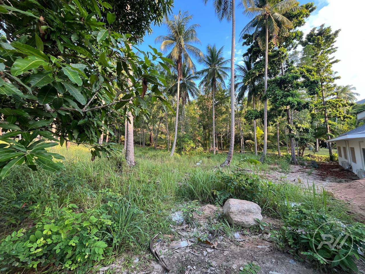 Land plot in Chaloklum (RW-L0029) — photo 1