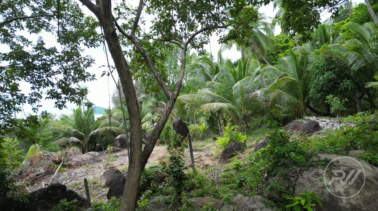 Land plot on Koh Phangan (RW-L0030) — photo 2