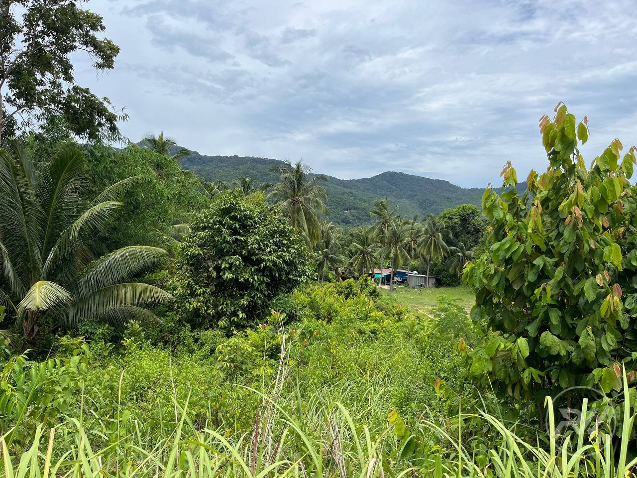 Land plot in Madeau Wan (RW-L0031) — photo 2