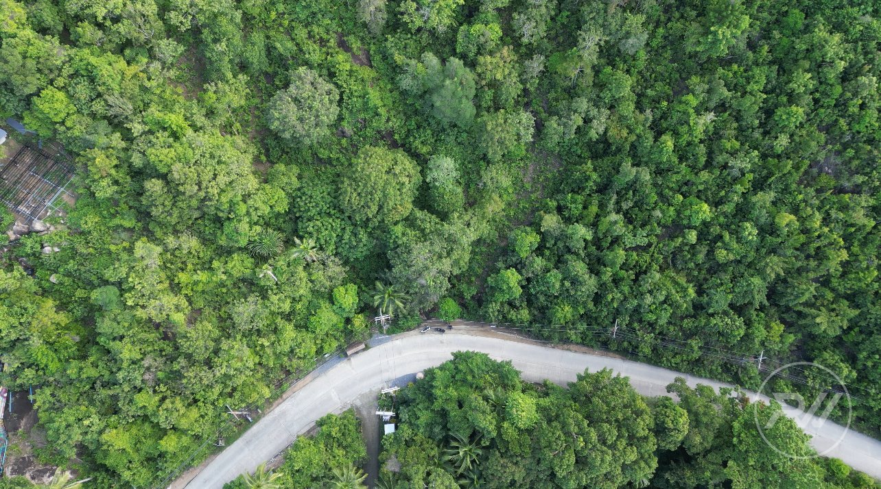 Land plot on Koh Phangan (RW-L0033) — photo 2