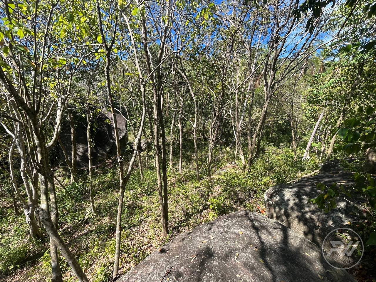 Land plot on Koh Phangan (RW-L0035) — photo 1
