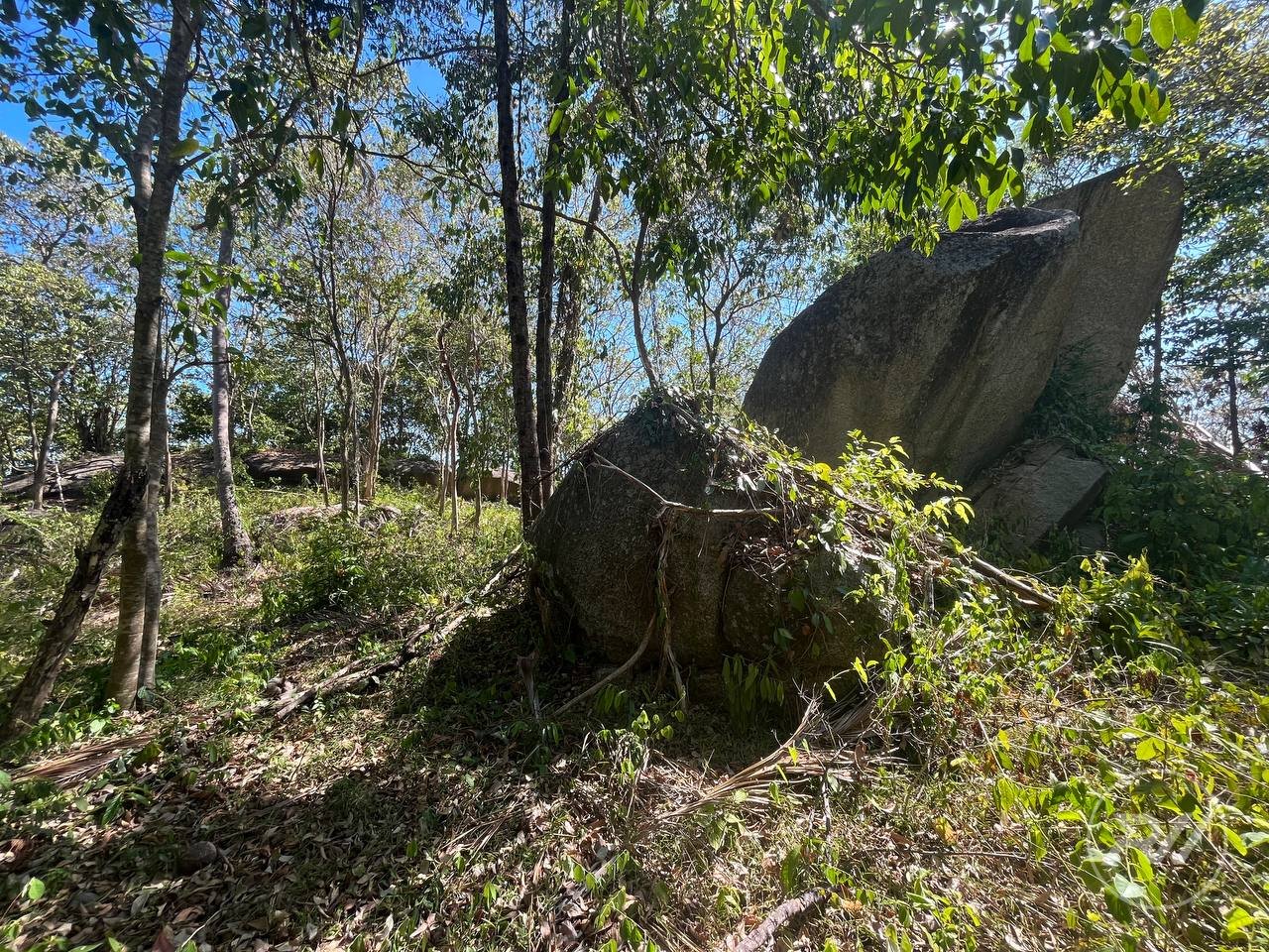 Land plot on Koh Phangan (RW-L0035) — photo 2