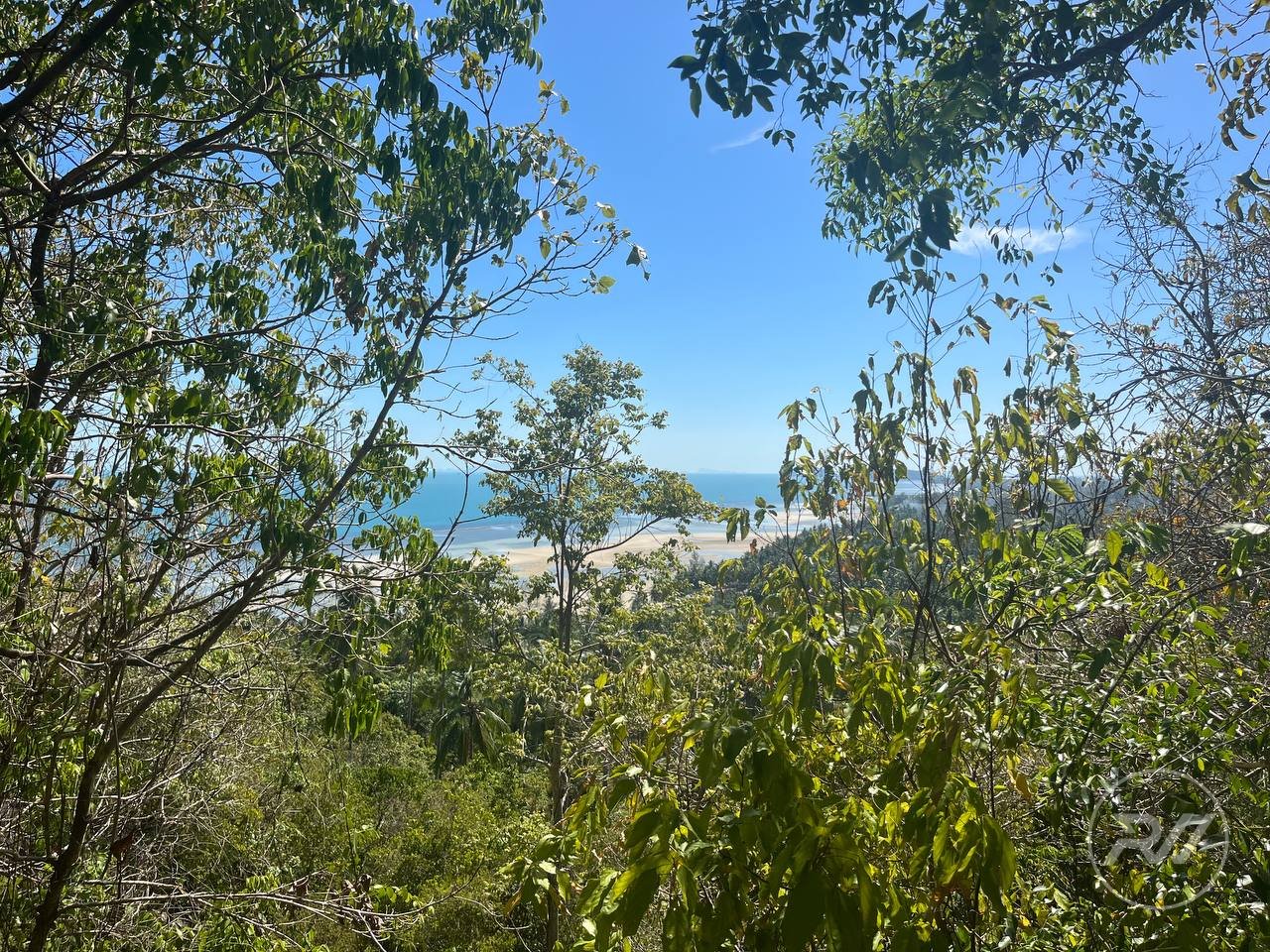 Land plot on Koh Phangan (RW-L0035) — photo 3