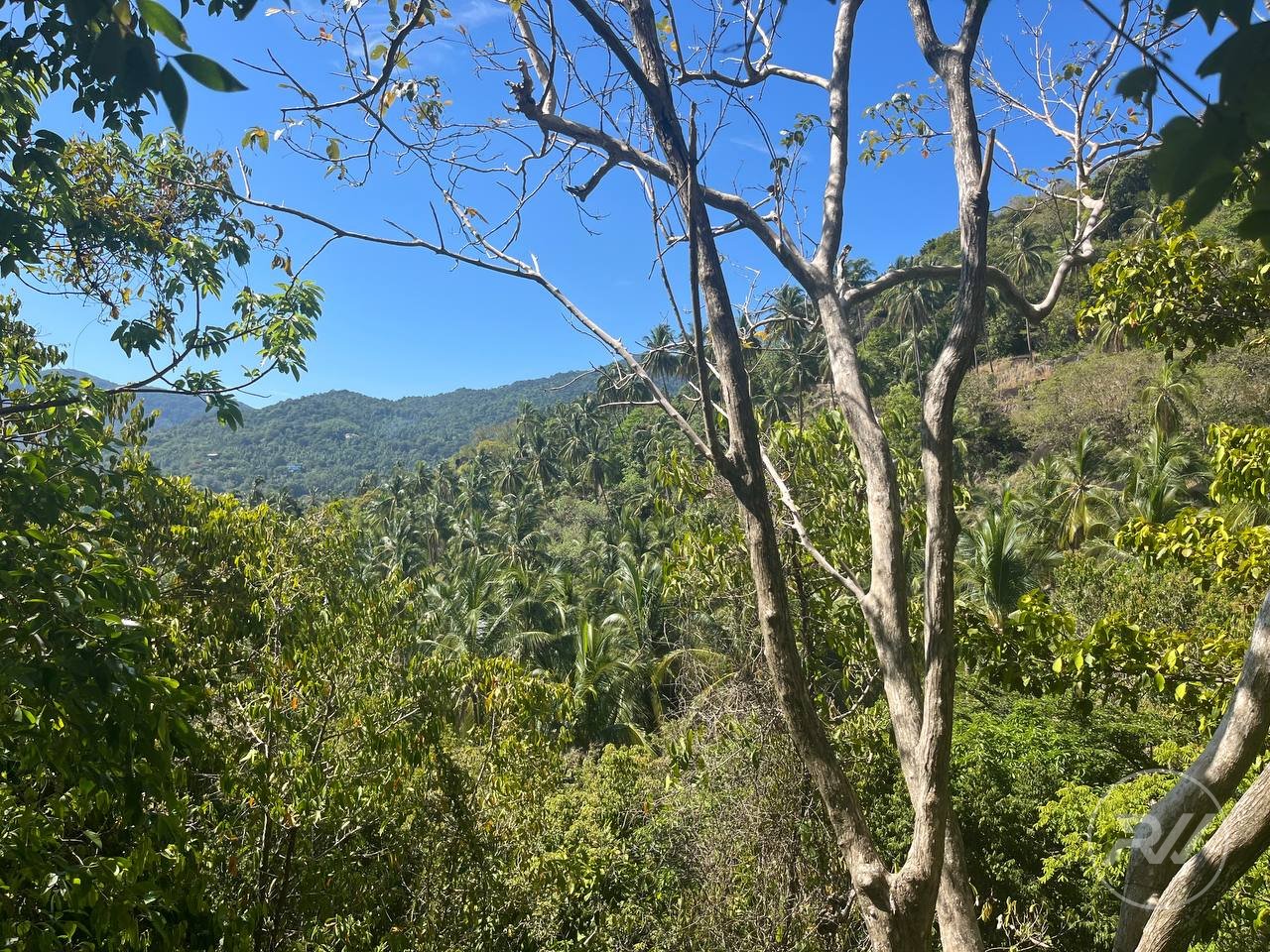 Land plot on Koh Phangan (RW-L0035) — photo 4