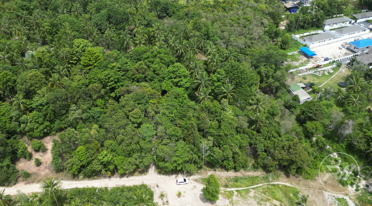 Land plot on Koh Phangan (RW-L0038) — photo 1