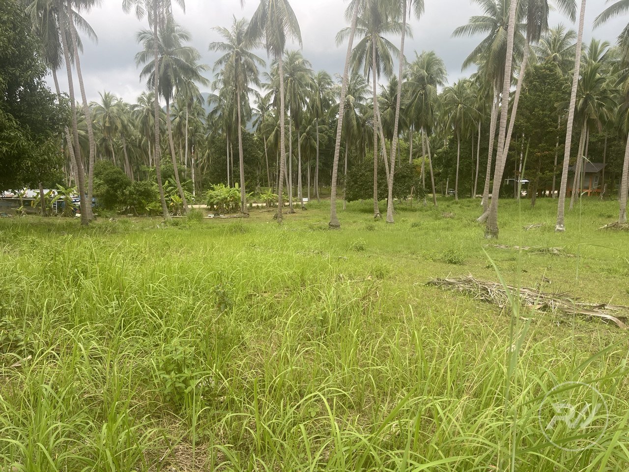 Land plot on Koh Phangan (RW-L0040) — photo 3