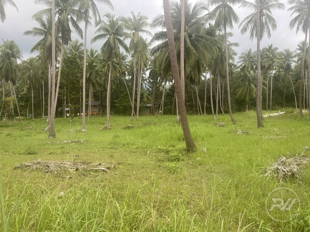 Land plot on Koh Phangan (RW-L0040) — photo 4