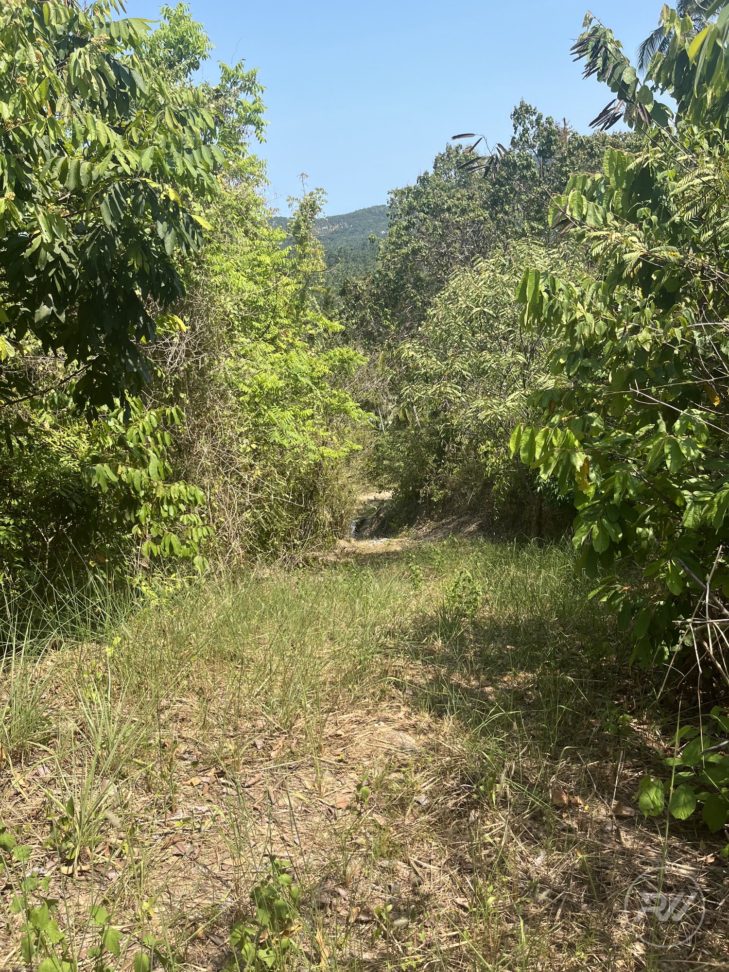 Land plot on Koh Phangan (RW-L0047) — photo 1