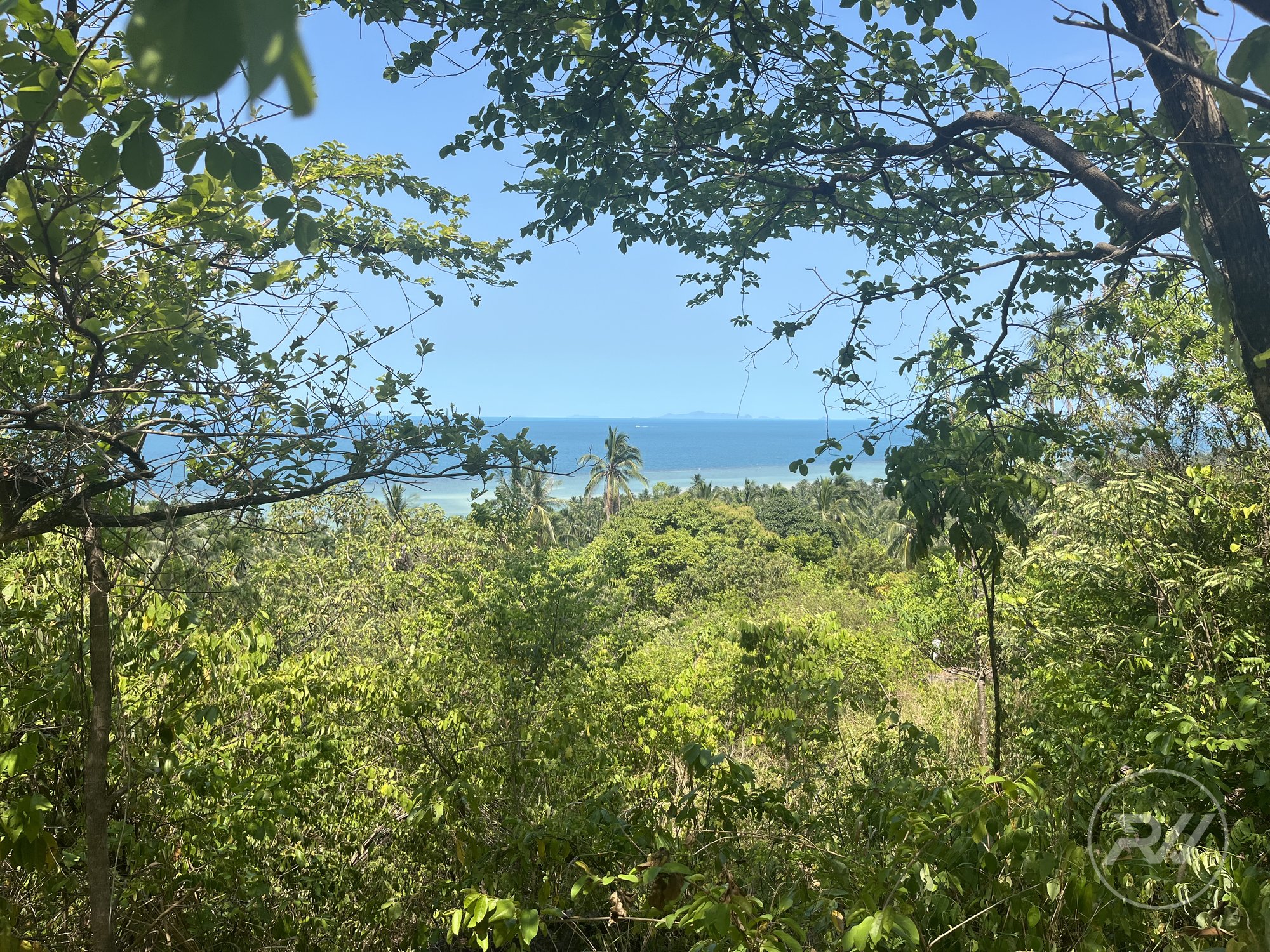 Land plot on Koh Phangan (RW-L0047) — photo 2