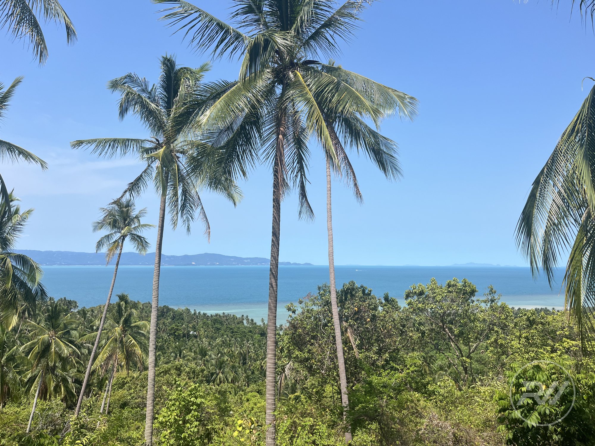 Land plot on Koh Phangan (RW-L0047) — photo 3
