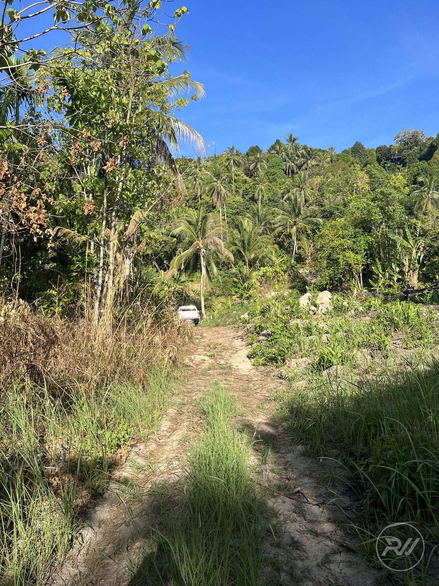 Land plot on Koh Phangan (RW-L0048) — photo 1