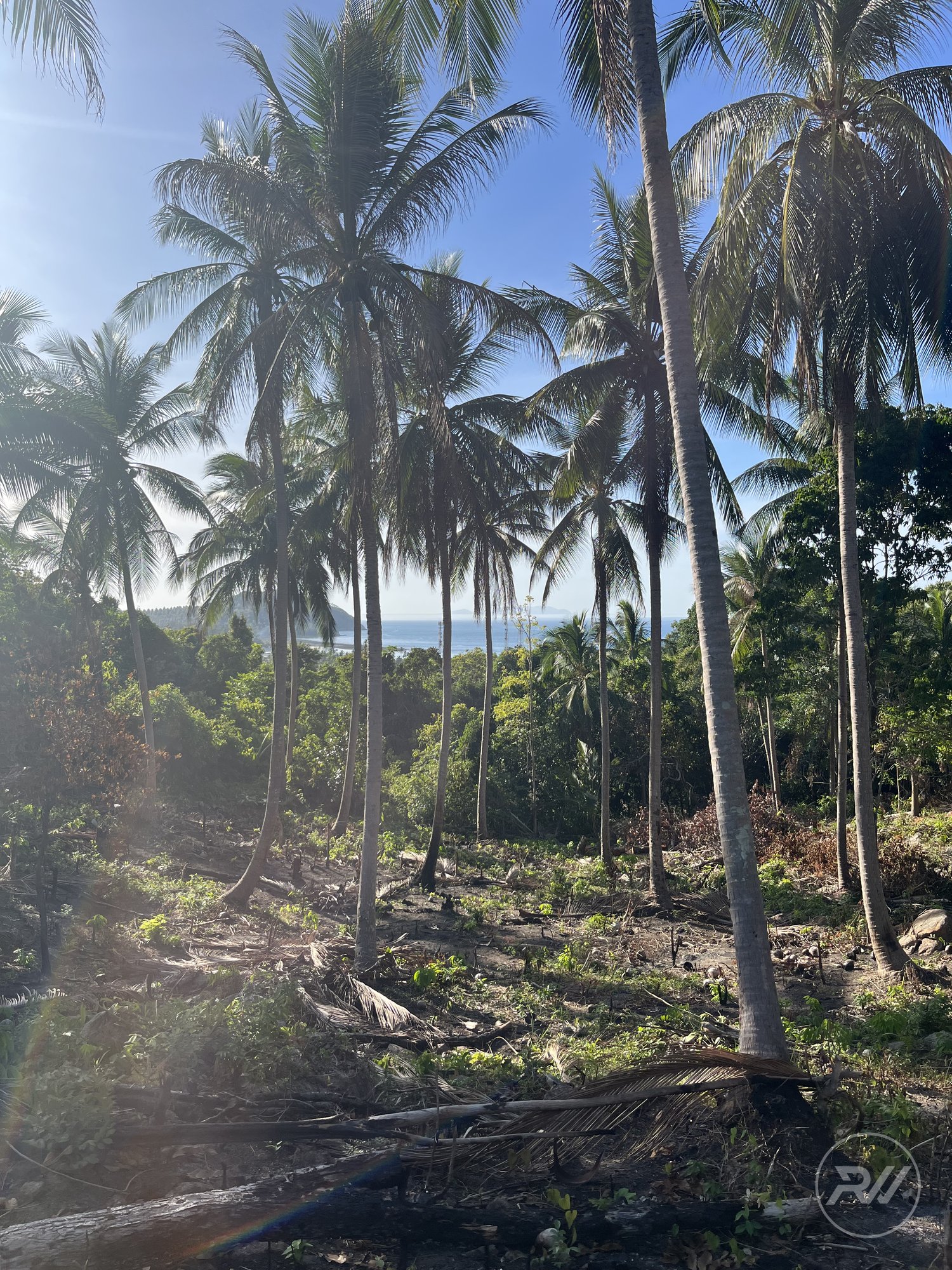 Land plot on Koh Phangan (RW-L0048) — photo 2