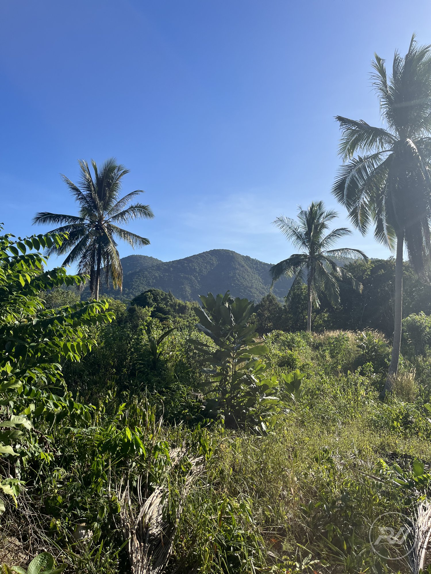 Land plot on Koh Phangan (RW-L0048) — photo 3